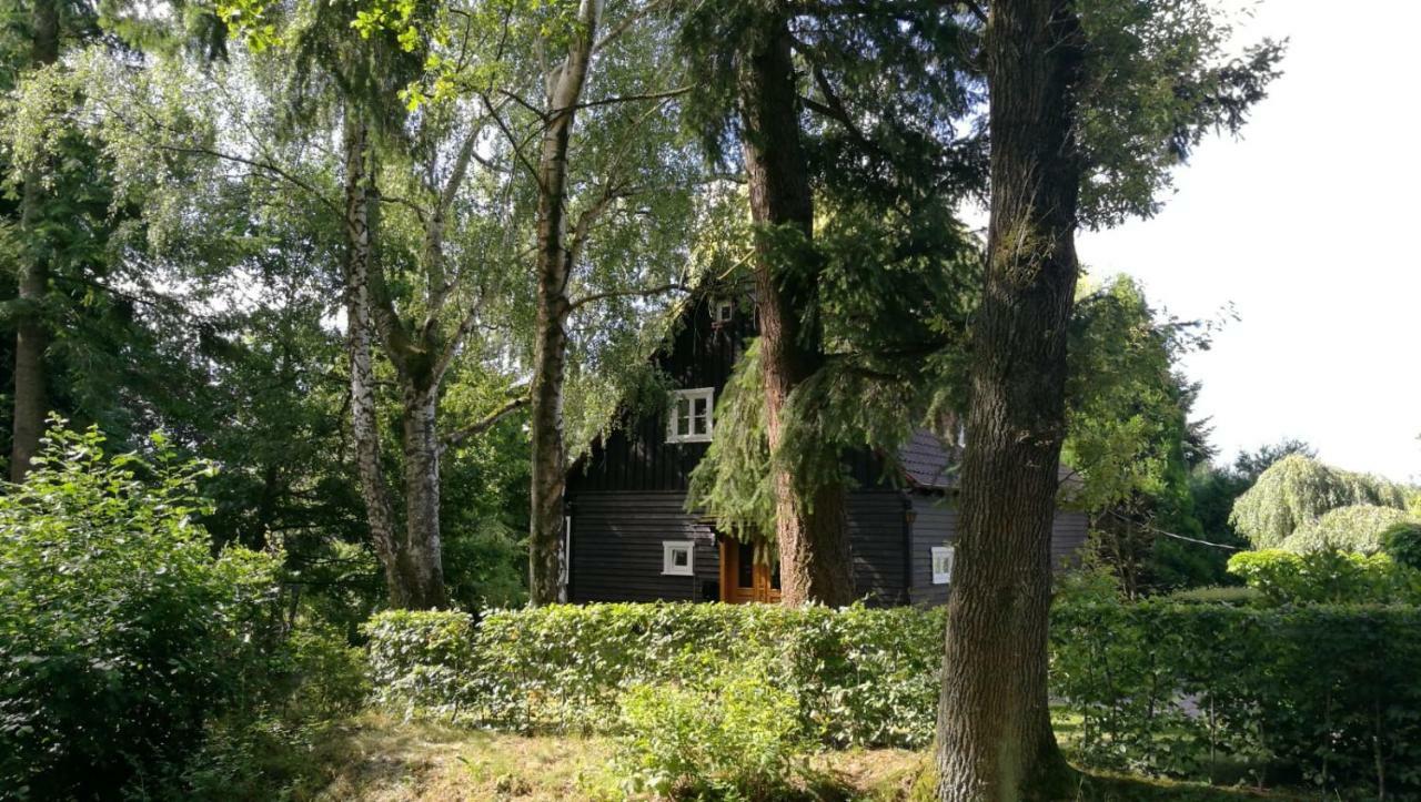 "Haus Am Knobben" Villa Uslar Ngoại thất bức ảnh