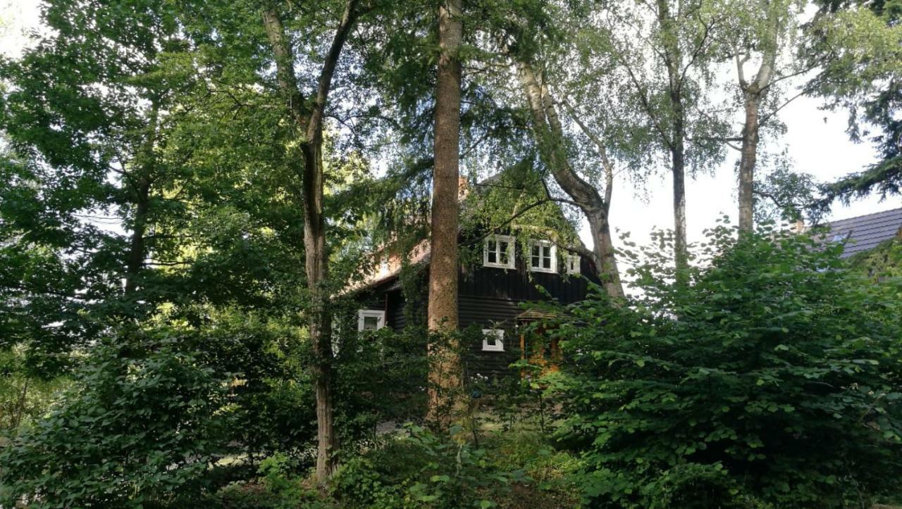 "Haus Am Knobben" Villa Uslar Ngoại thất bức ảnh
