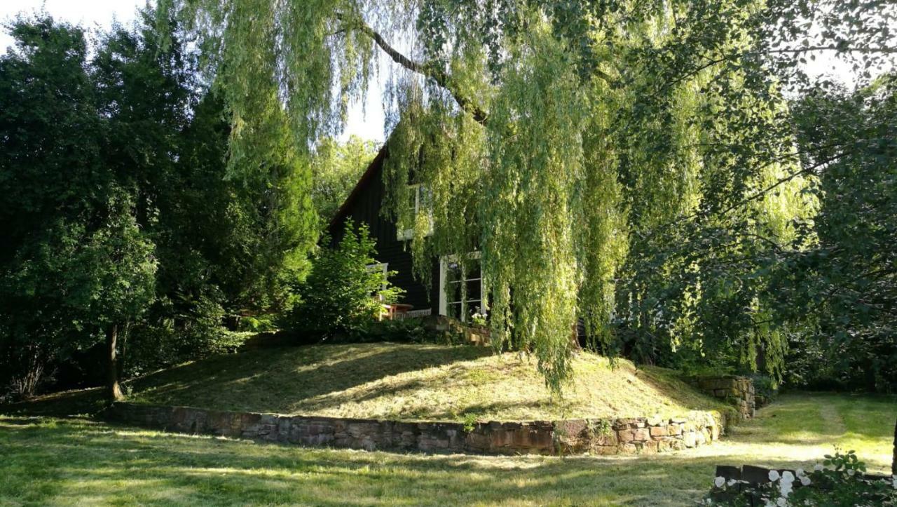 "Haus Am Knobben" Villa Uslar Ngoại thất bức ảnh